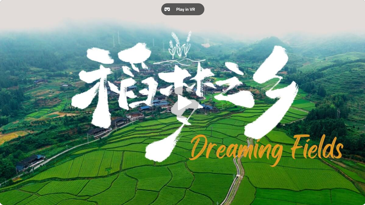 8KVR沉浸式形象片《稻梦之乡》-奇点VR