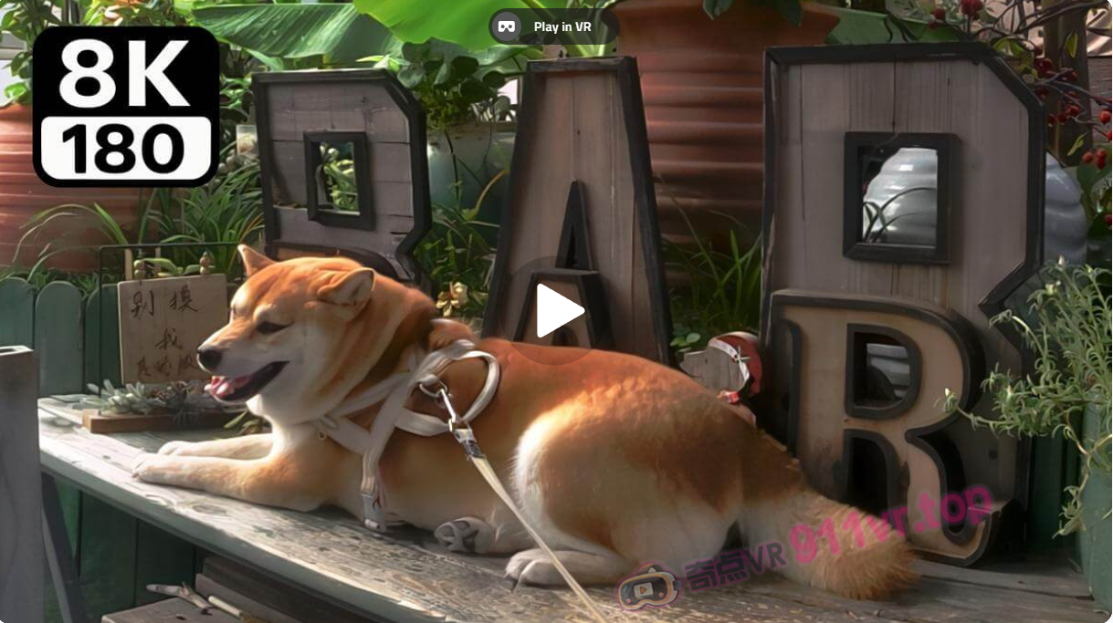 Lifeistoughandevendogshavetoperformforaliving生活不易狗狗卖艺-奇点VR