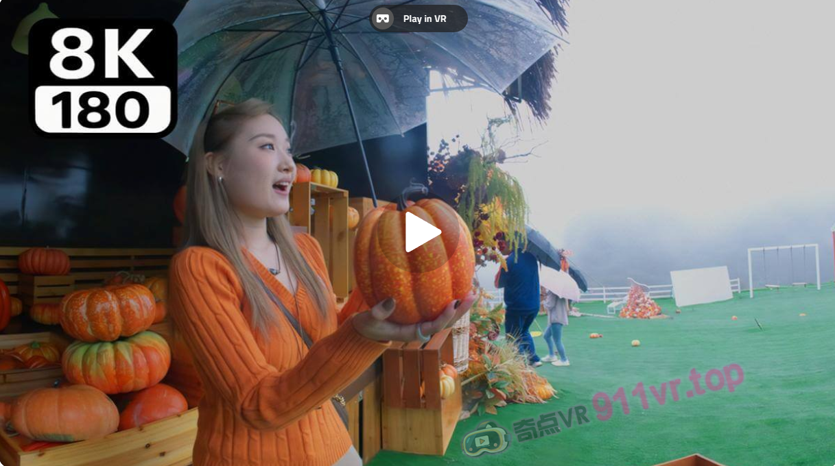 immersiveviewingoftheCloudyTulipGarden-奇点VR